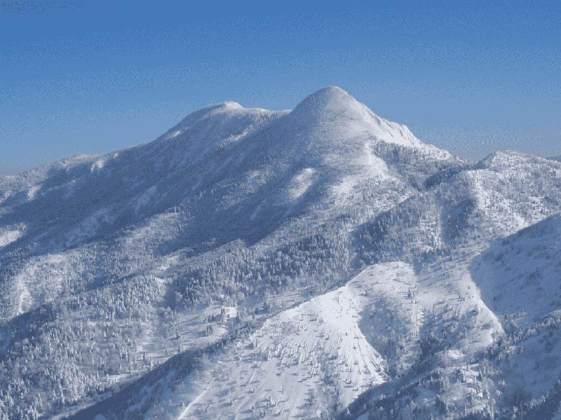 <strong>化学实验怎么洗涤试管（试管取精预备）</strong>